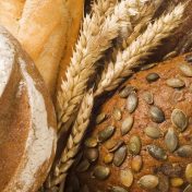 fresh-bread-PEMXLR9.jpg
